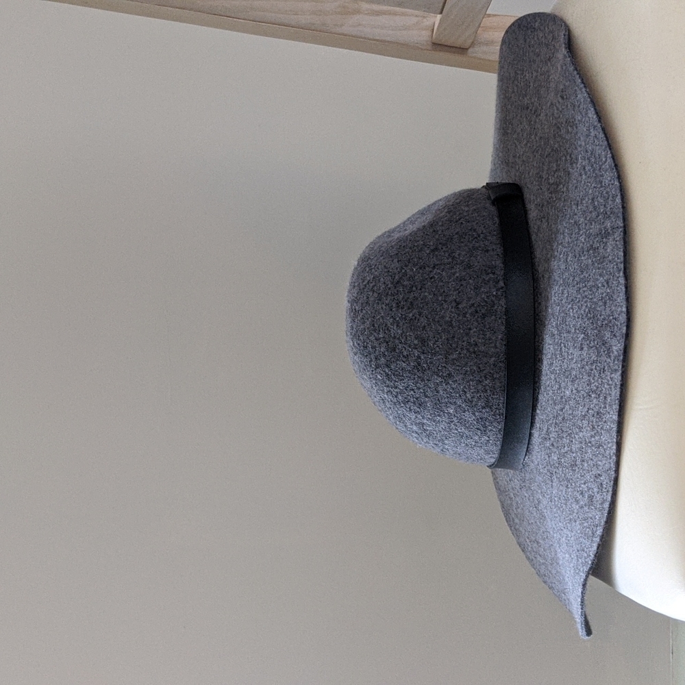 H&M Gray Felt Hat
